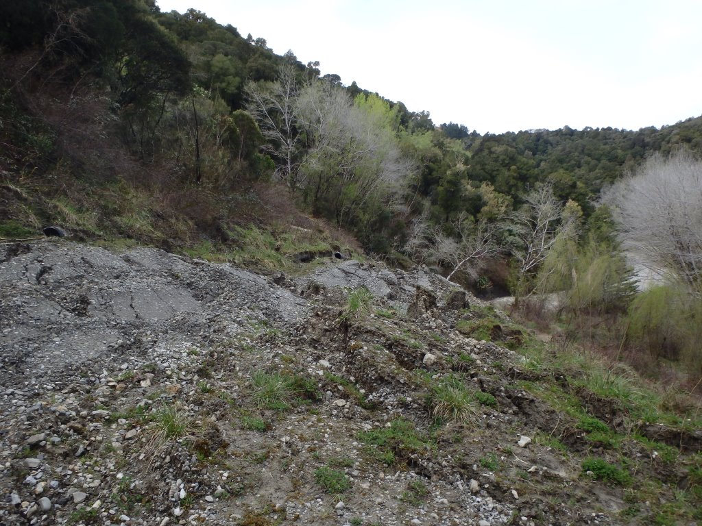 Bay of Plenty Geotechnical Engineering