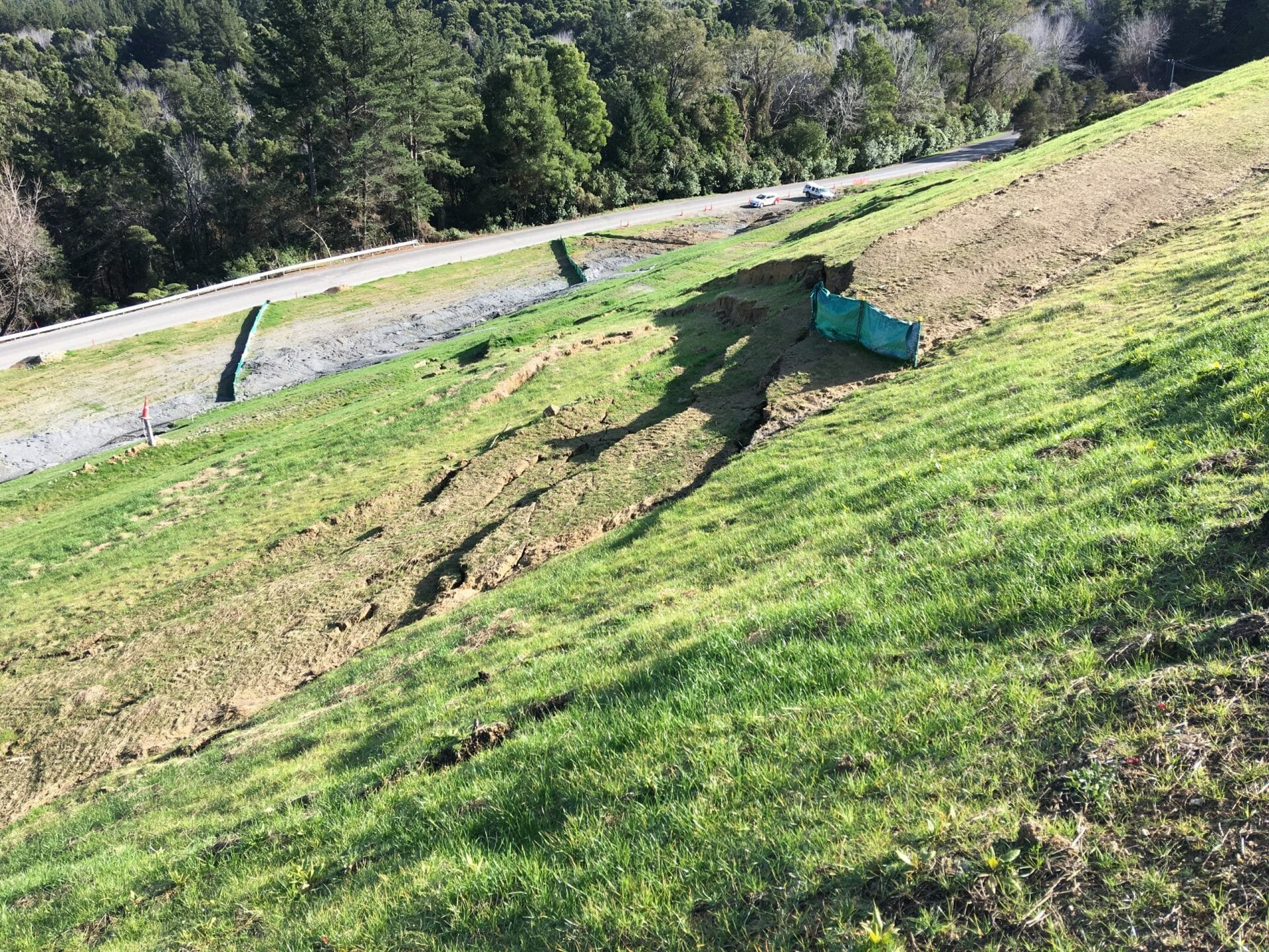 auckland environmental engineering