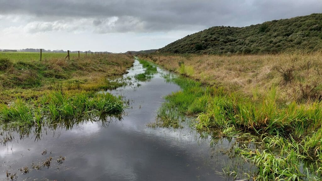 Scenic environmental landscape and waterway