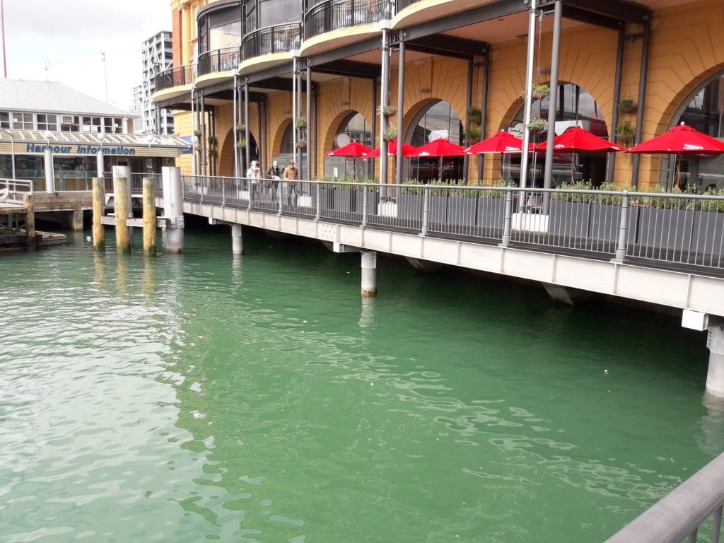 harbourside building above seawall